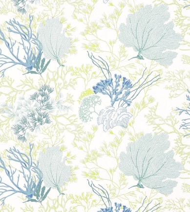 Thibaut Molokini Aqua and Green tapéta - Paisley Home