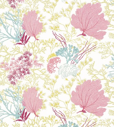 Thibaut Molokini Pink tapéta - Paisley Home