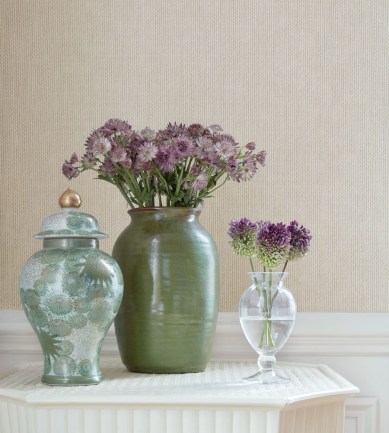 Paisley Home - Thibaut tapéták teljes választéka