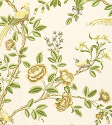 Thibaut Newman Beige and Green T4703  tapéta - Paisley Home