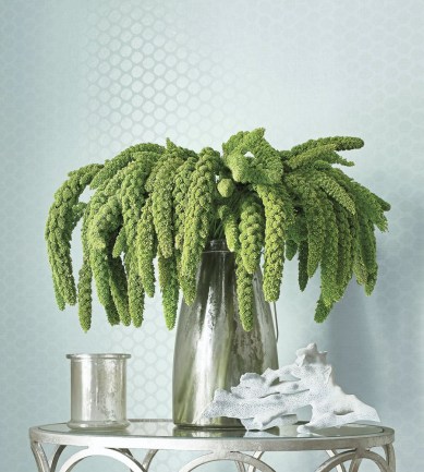 Thibaut Nevio Pink tapéta - Paisley Home