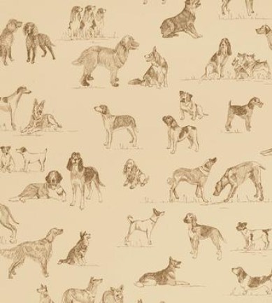 Thibaut Best Friend Camel T1042  tapéta - Paisley Home