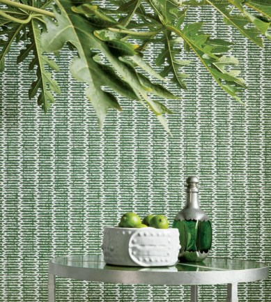 Paisley Home - Thibaut tapéták teljes választéka