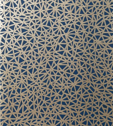 Thibaut Aedan Navy tapéta