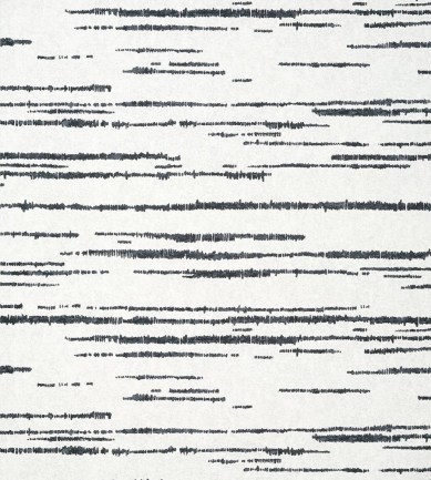 Thibaut Echo Black on White tapéta