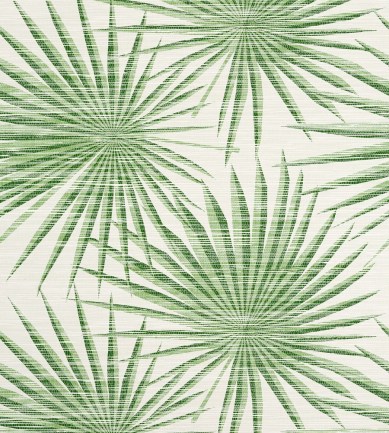 Thibaut Palm Frond Green and White tapéta