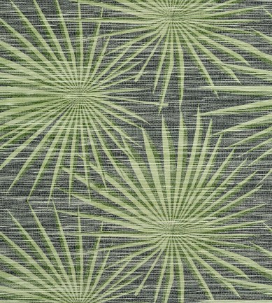 Thibaut Palm Frond Black and Green tapéta