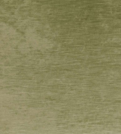 Villa Nova Heavenly Asparagus textil - Paisley Home