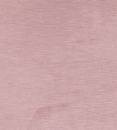 Villa Nova Heavenly Shell textil - Paisley Home