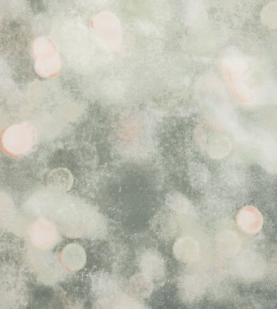 Villa Nova Bokeh Tuscan tapéta