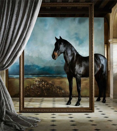 Zoffany Hadleigh Faded Amethyst textil - Paisley Home