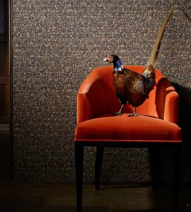 Zoffany Icarus Silver/Pheasant tapéta - Paisley Home