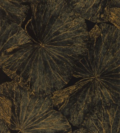 Zoffany Taisho Deco Vine Black tapéta - Paisley Home